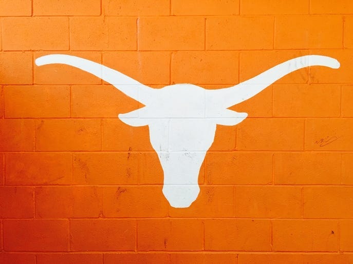 University of Texas Longhorn in Burnt Orange.