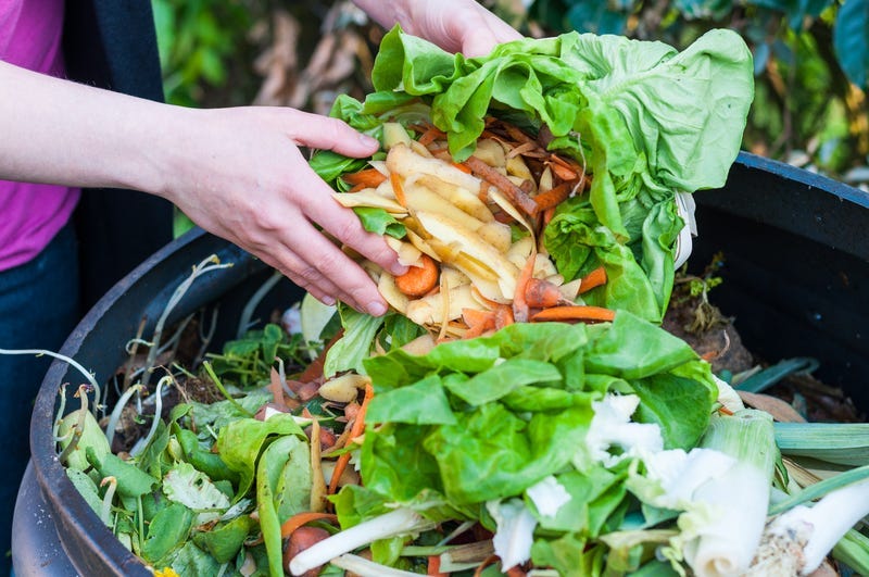 composting your kitchen waste