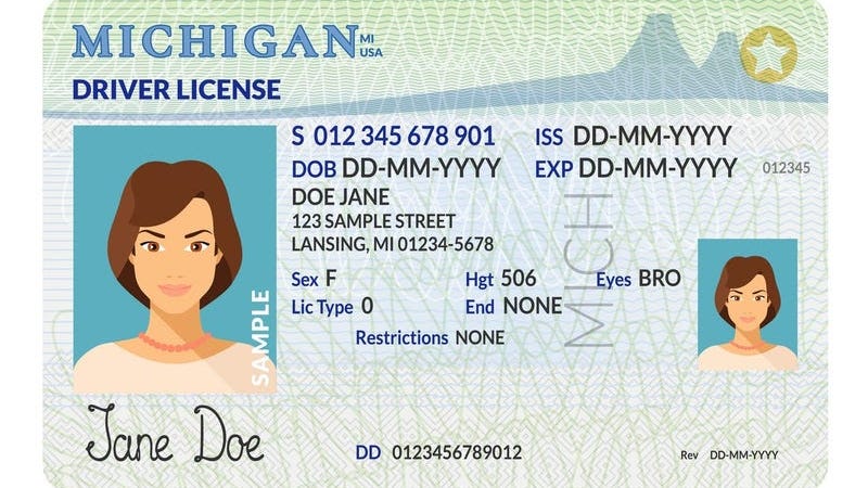 Thousands of Michigan drivers to get licenses back as state updates suspension laws