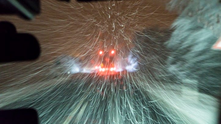 Be prepared for damaging winds, power outages, slick roads, snow in metro Detroit