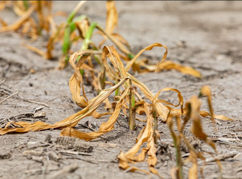 connecticut drought