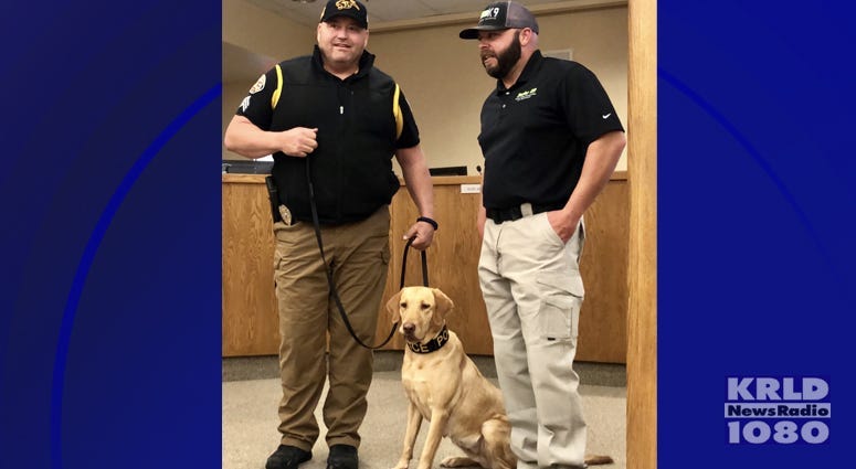  K-9 Sector’s Weapons and Drugs Detection training program