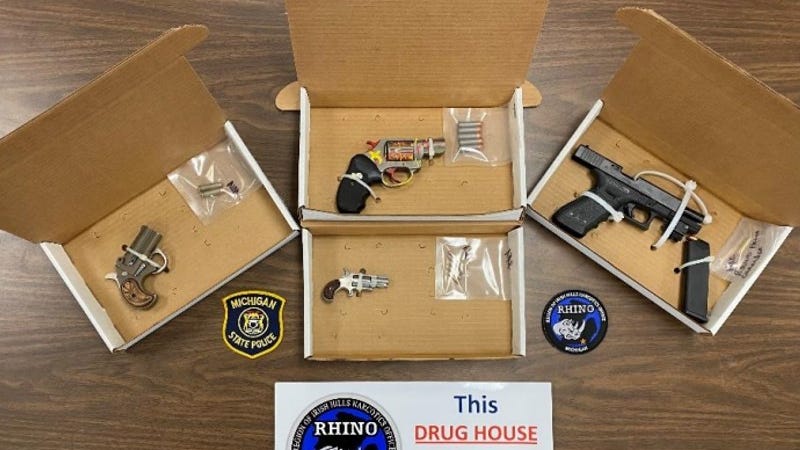 Guns and meth seized when MSP detectives with special ops bust "drug house" in Hillsdale County