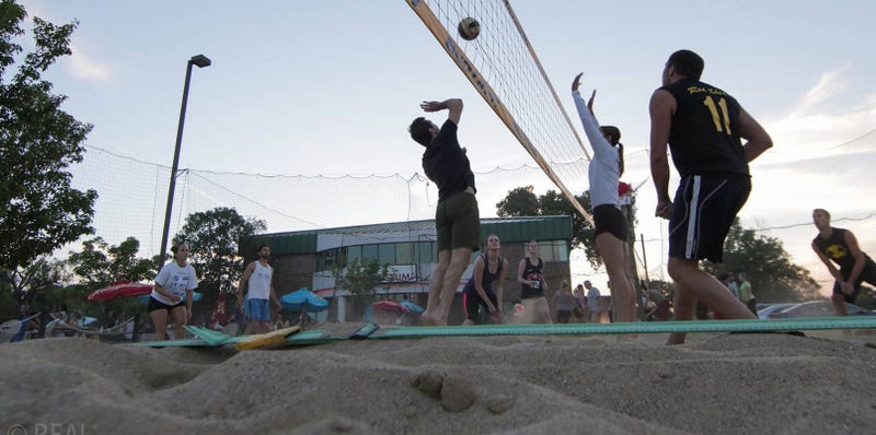 coliseum bar madison volleyball