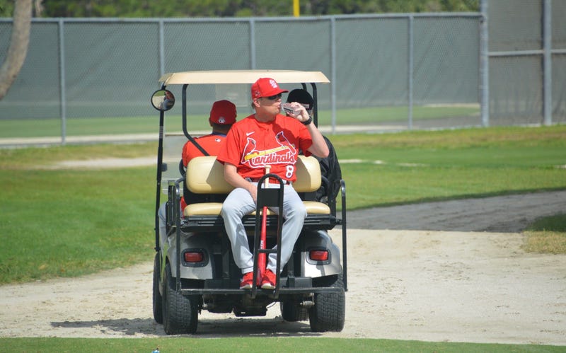 Mike Shildt