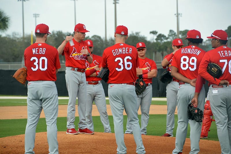 Mike Shildt