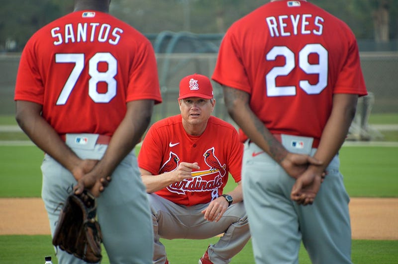 Mike Shildt, Cardinals spring training