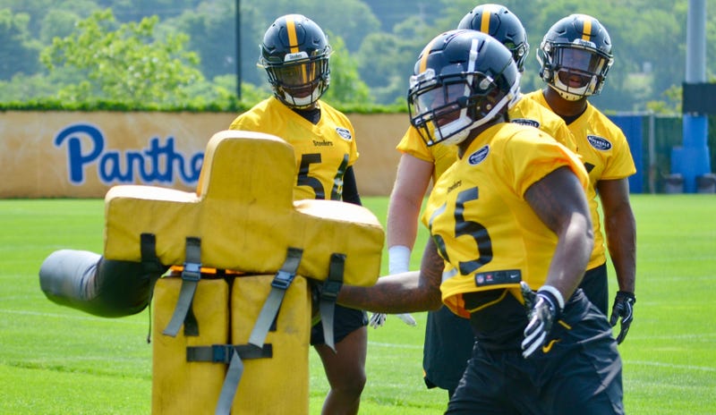 Steelers ILB Devin Bush at OTAs in 2019