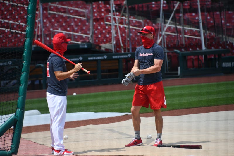 Cardinals with masks