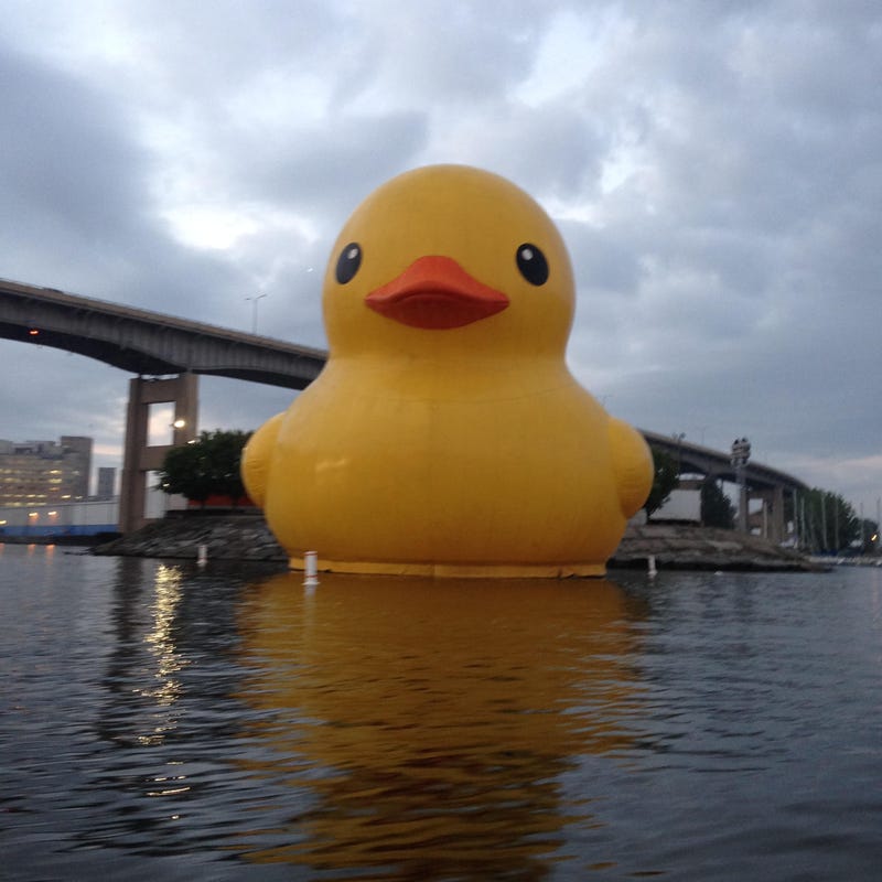 World's Largest Rubber Duck