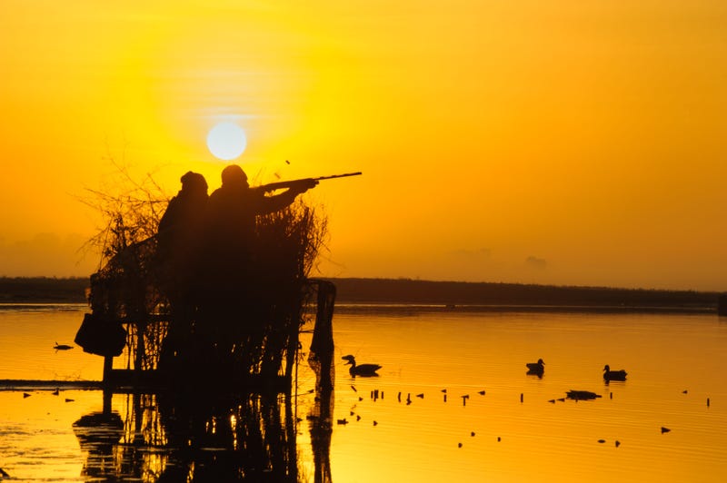 Hunting