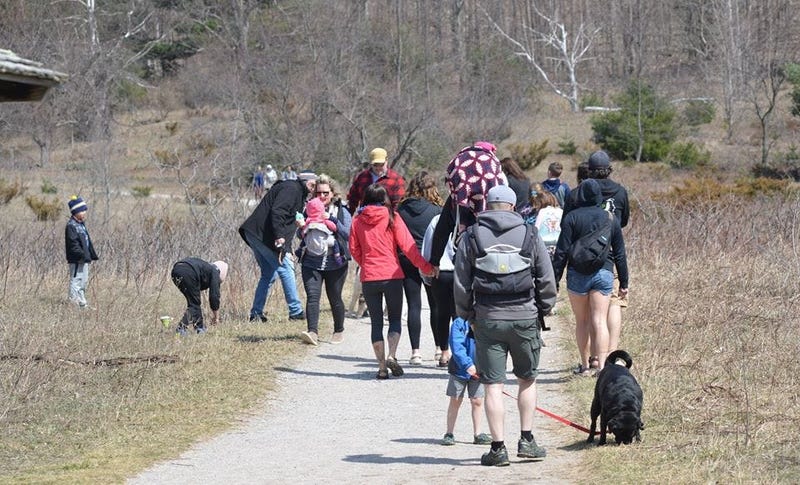 dunes trail COVID-19 