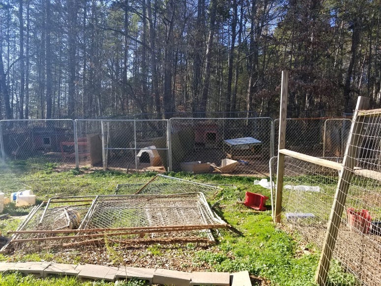 Dunklin Bridge Rd. property conditions where 39 dogs were found caged, 2 dead.