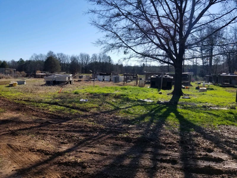 Animal Cruelty Dunklin Bridge Road