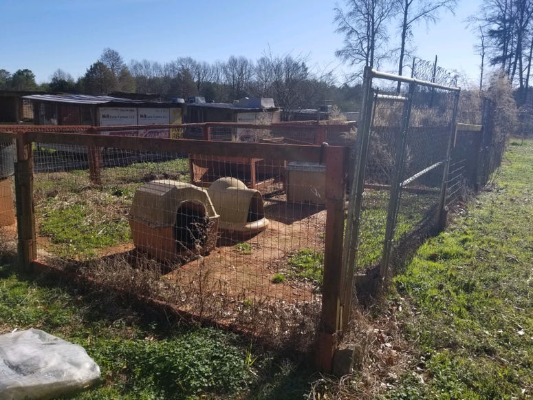 Dunklin Bridge Rd. property conditions where 39 dogs were found caged, 2 dead.