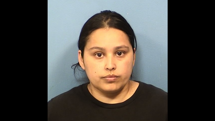 ‘Just heartbreaking’: Roselle woman faces over a dozen animal cruelty charges