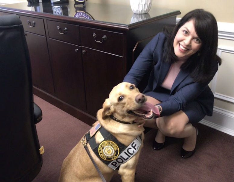 Charlie the electronics sniffing dog, posing with Delaware County District Attorney Kat Copeland.