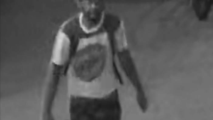 Thief chokes, repeatedly punches woman, 64, during East Harlem robbery