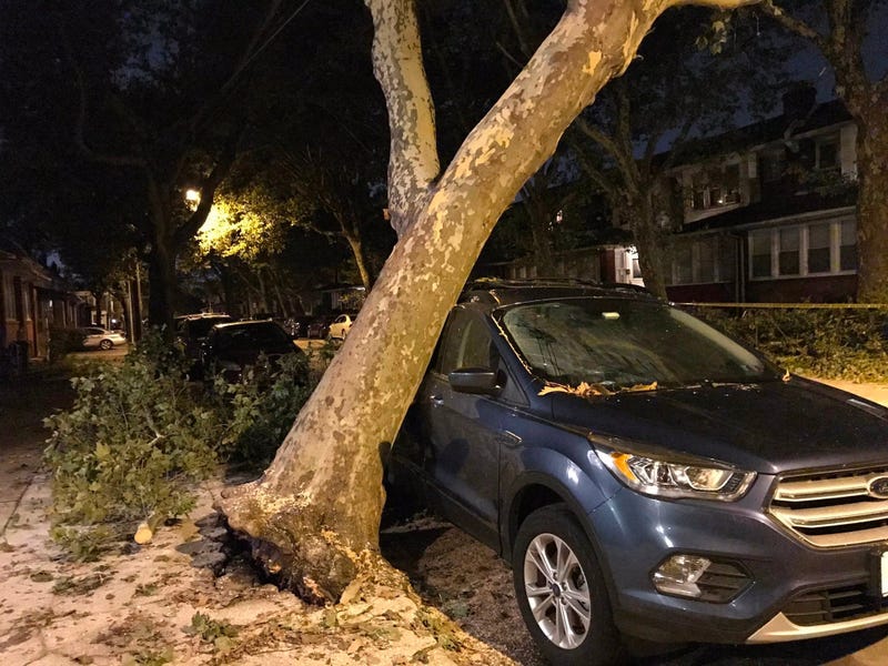 In Frankford, a tree slammed into car, and the car actually held the tree up, preventing it from falling further.