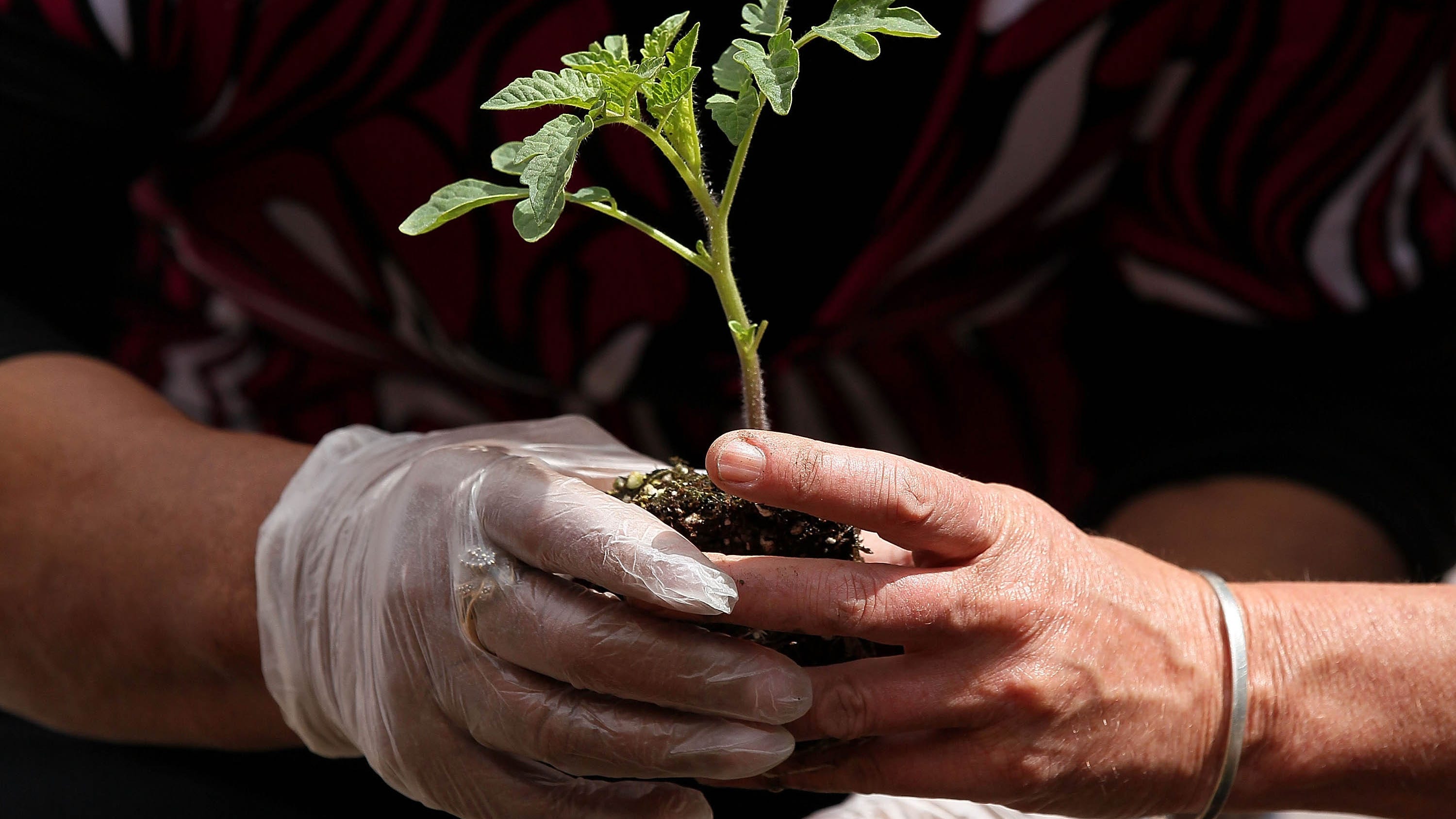 Why do we celebrate Earth Day?
