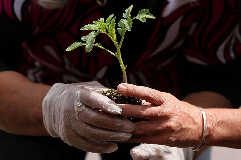 Earth Day