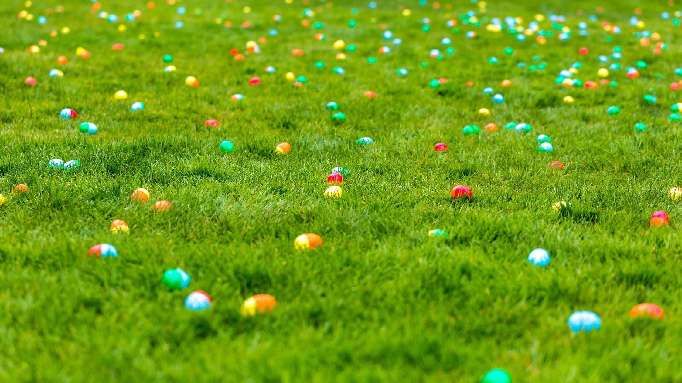 Things to do in Chicago this weekend
