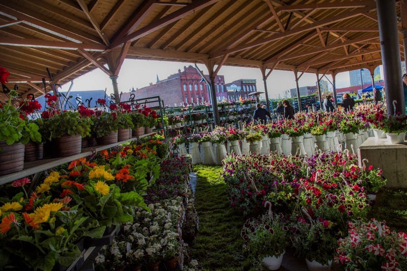 Eastern Market Flower Day to take place every Tuesday in May