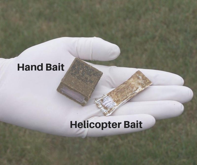 Raccoon Rabies Baits