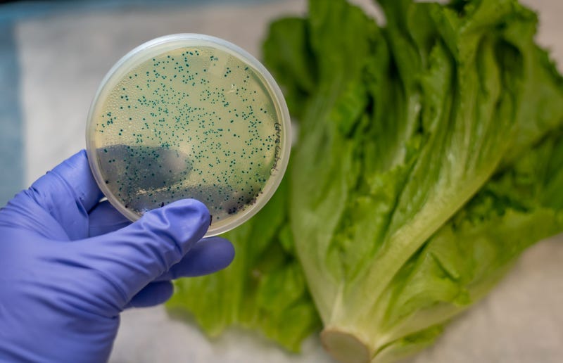 The CDC says do not eat Romaine Lettuce from Salinas, California