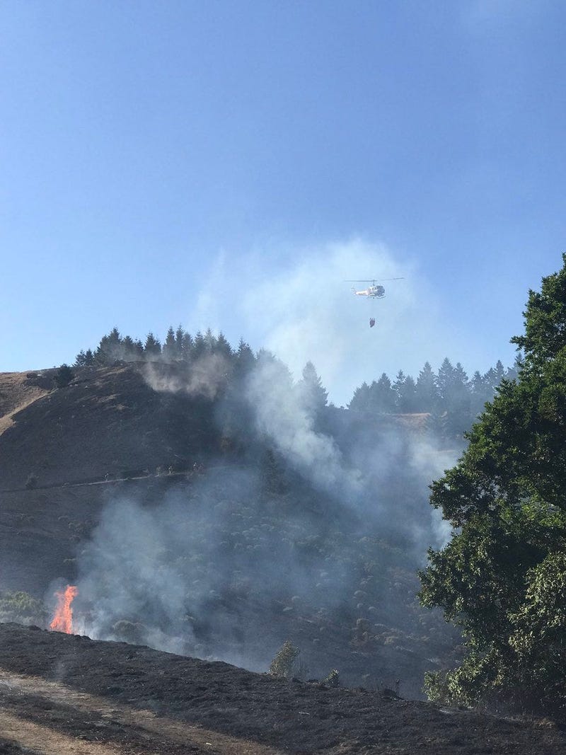 The Spirit Fire in Marin County was started by a 73-year-old man who claimed that he did not expect the flames to get out of control, authorities said on Aug. 27, 2019.