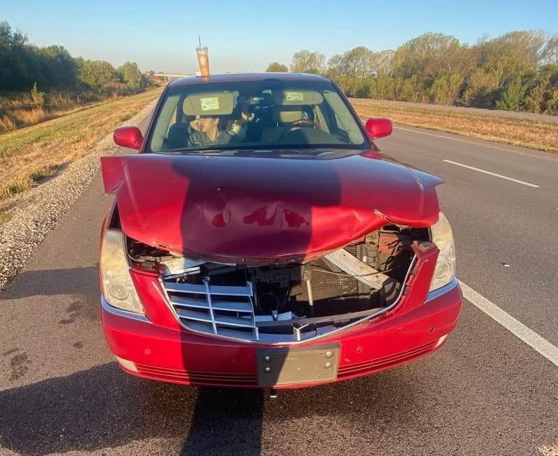Deer Crash