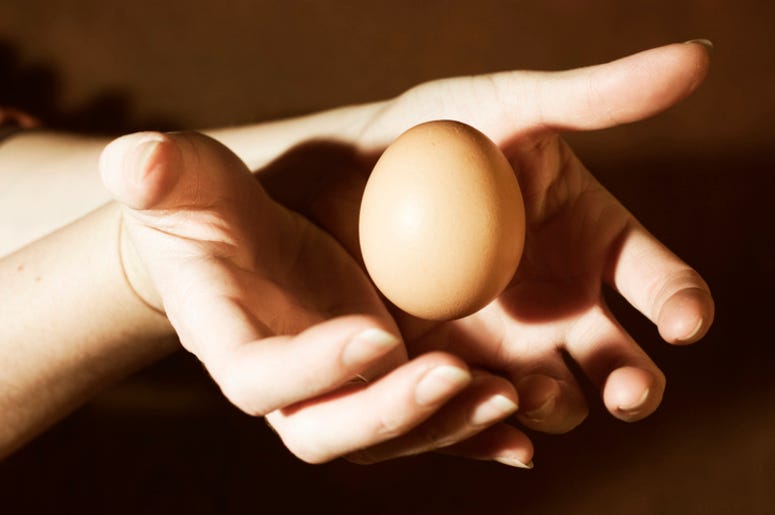 Egg