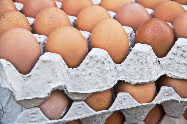 Salmonella From Eggs