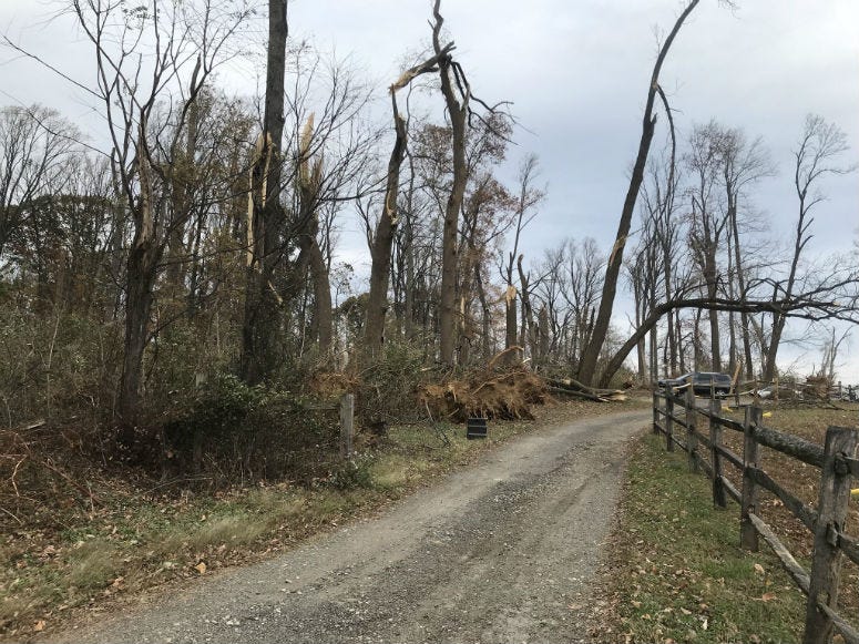 Photo of the aftermath of a tornado at Clonmel Farm.