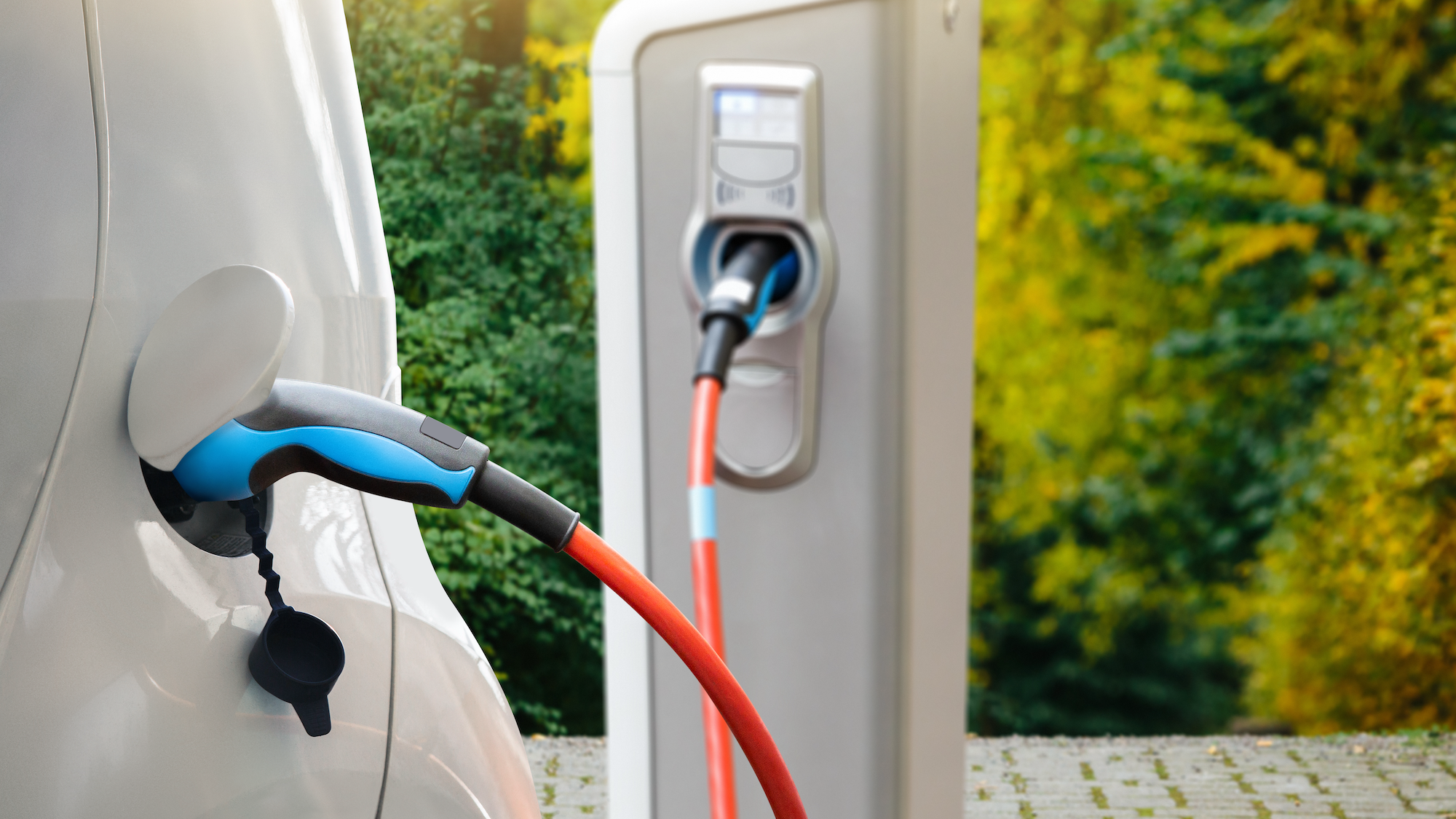 Stop overpaying at the pump! Check out the greenest cars of 2022