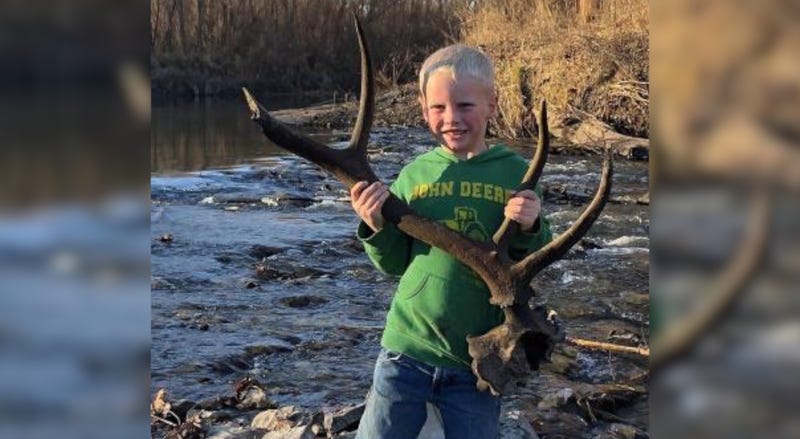elk antler