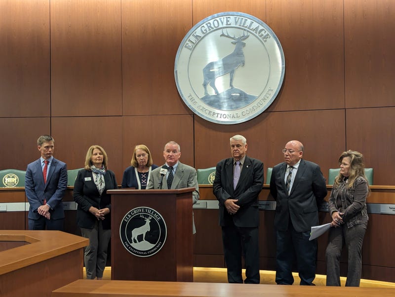 Elk Grove Village hall chambers