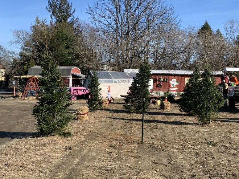 Cheyenne's Road Market and Farm.