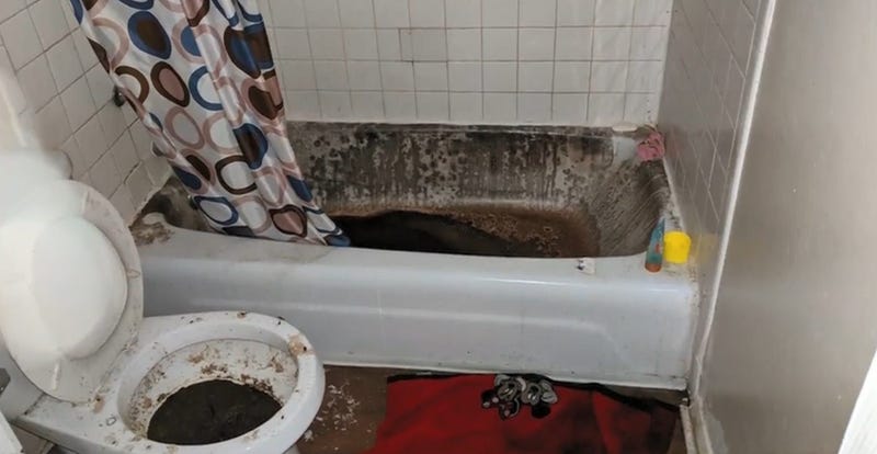 Toilet and bathtub filled with sewage and filthy water