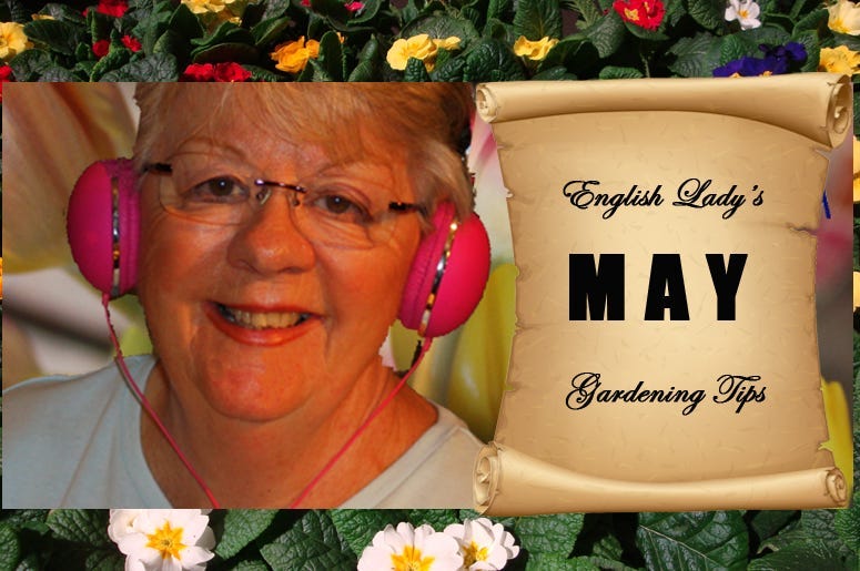 English Lady May Gardening Tips