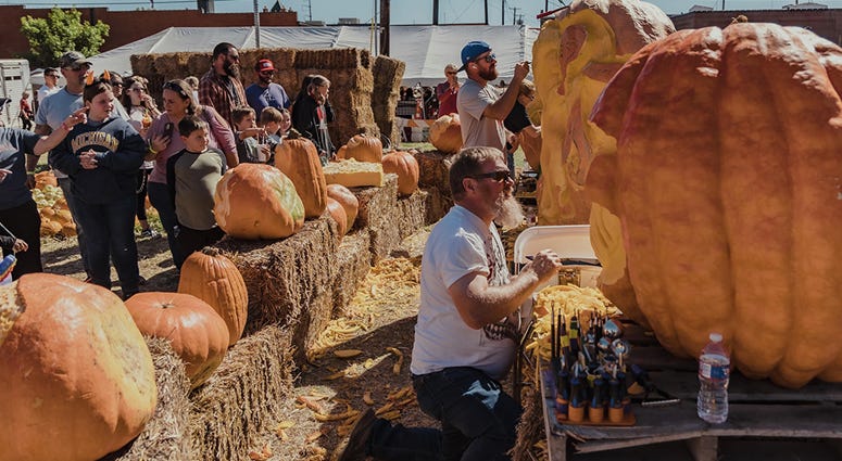 16,000 pumpkins to go on display at Ennis Autumn Daze