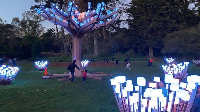Art installation brings enchanted forest to Golden Gate Park