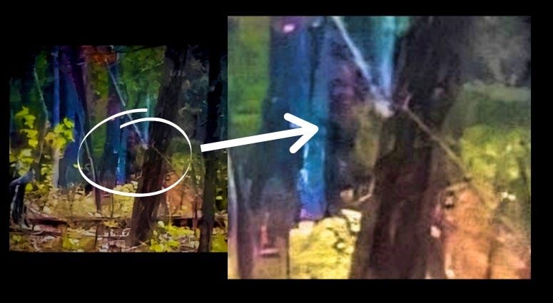 Billy Humphrey's photo of what some believe is Bigfoot