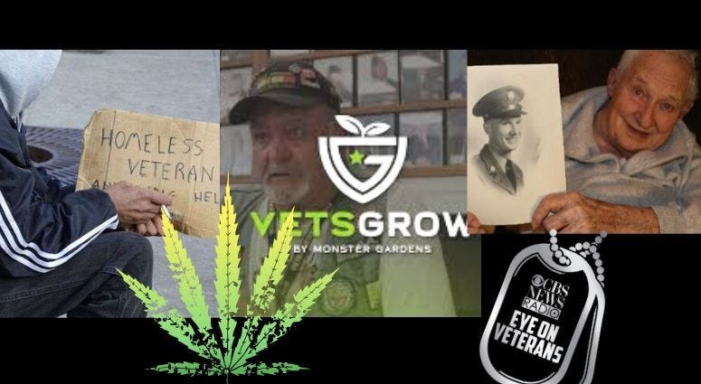 National Alliance to End Homeless Veterans History Project and VetsGrow marijuana documentary