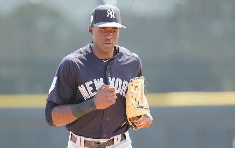 Estevan Florial