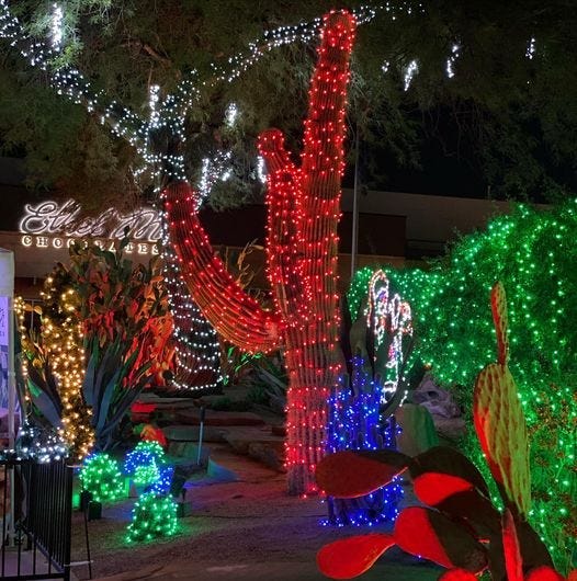 Holiday lights at the Ethel M Chocolates Cactus Garden