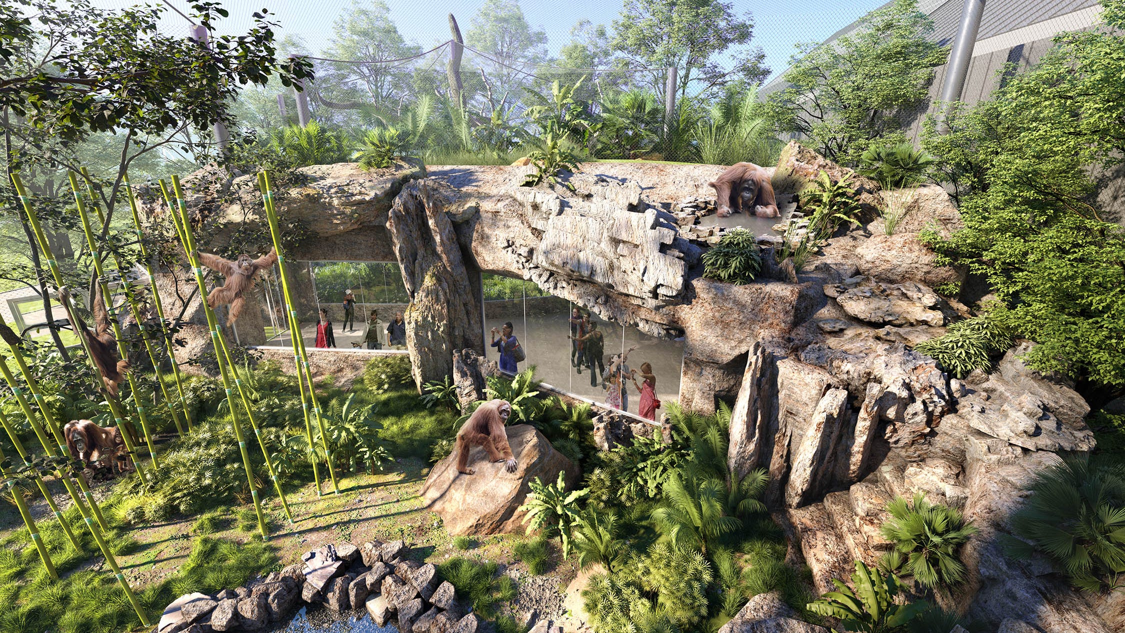 Brookfield Zoo announces 2-acre expansion of gorilla habitat