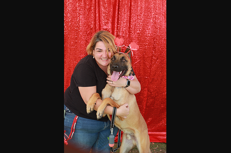 Fido Fest