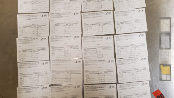Counterfeit COVID vaccination cards headed to New Orleans, seized by U.S. Customs