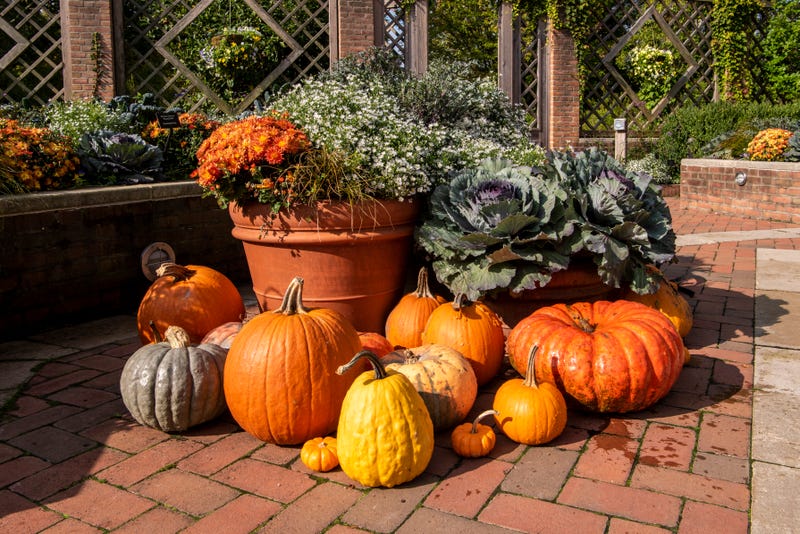 fall garden